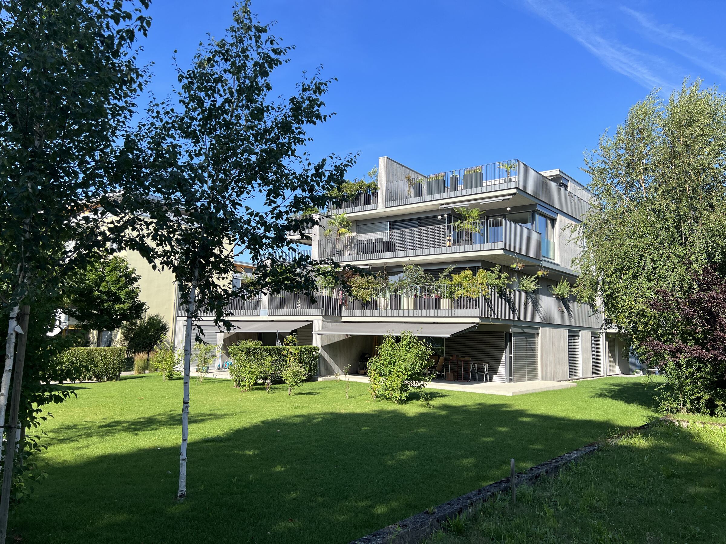 Les Terrasses in Oftringen, Gartenseite mit Birken und begrünten Terrassen